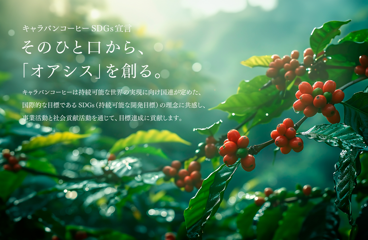 キャラバンコーヒーは、サステナビリティプロジェクトの一環として、フェアトレード原料を使用したコーヒー豆製品を発売いたします。